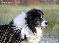 eyes of the world cheyenne