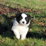 eyes of the world save the last dance for me