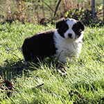 eyes of the world save the last dance for me