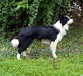 eyes of the world save the last dance for me