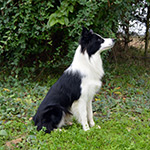 eyes of the world save the last dance for me