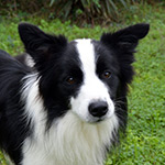 eyes of the world save the last dance for me