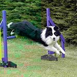 eyes of the world my special victory