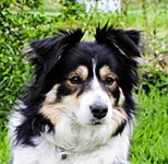 eyes fo the world one diamond one heart oycka