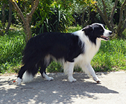 eyes of the world rock around the clock