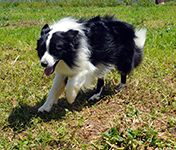 eyes of the world rock around the clock