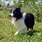 eyes of the world rock around the clock