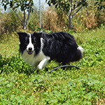 eyes of the world rock around the clock