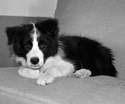 eyes of the world rock around the clock