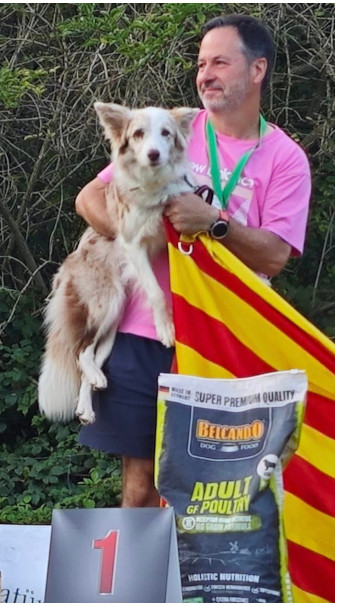 border collie campeona mundial frisbee je t'adore de gardelcan