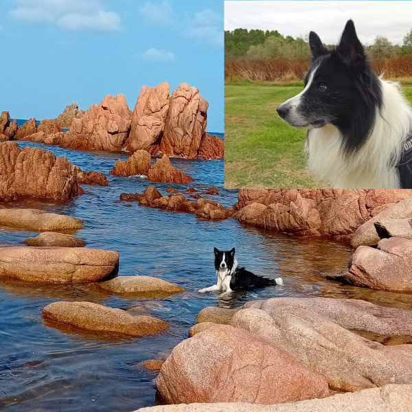 One More Night De Gardelcan