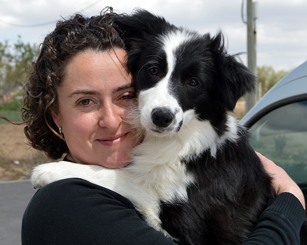 border collie gardelcan